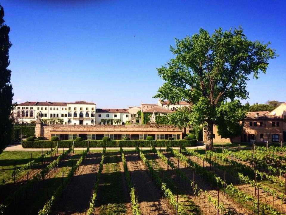 Agriturismo Dominio Di Bagnoli Bagnoli di Sopra المظهر الخارجي الصورة